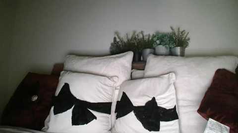 bigdicktrannynicole free recording from 2025-07-24 06:46:00