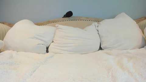 eatmygingersnapps free recording from 