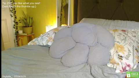 skybella_ free recording from 2025-07-24 14:45:00