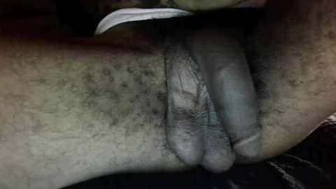 bertdollaz757 free recording from 