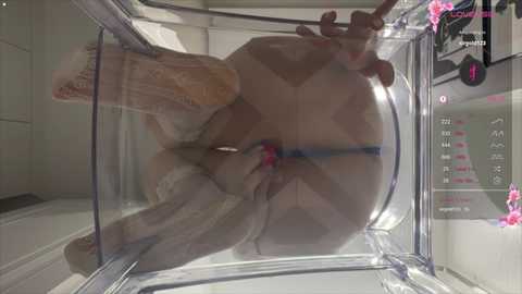 avroramy free recording from 