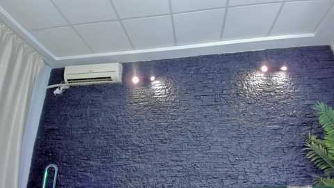 boobzilla_ free recording from 