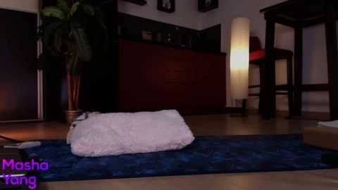 mashayang free recording from 2025-07-26 19:26:00