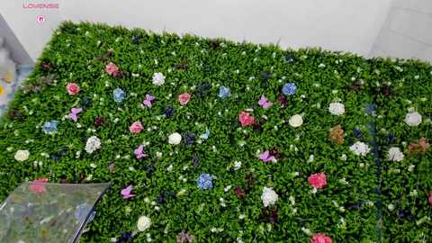 babyaylin free recording from 2025-07-27 15:08:00