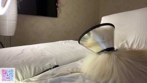 endlessmia free recording from 2025-07-27 00:23:00