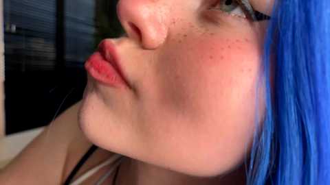 vixenp free recording from 