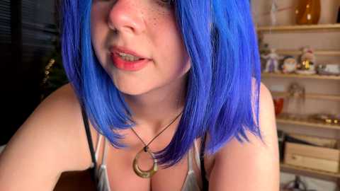 vixenp free recording from 2025-07-27 19:33:00