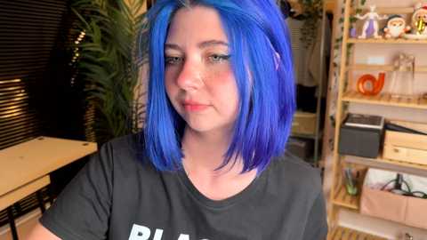 vixenp free recording from 2025-07-27 23:19:00