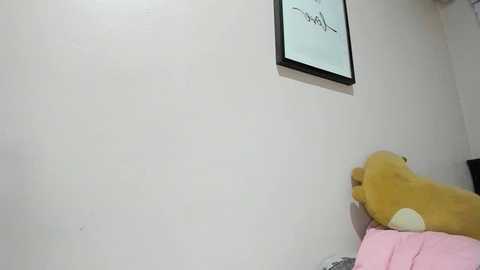 xdreamangel free recording from 