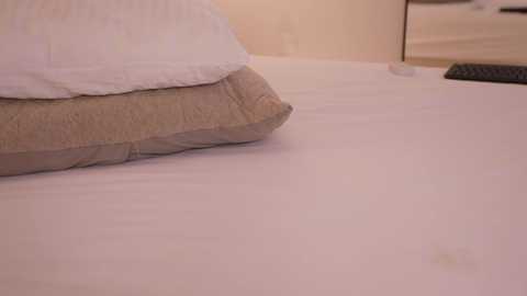 dovia free recording from 2025-07-28 09:19:00