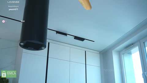 hecola free recording from 2025-07-28 08:42:00