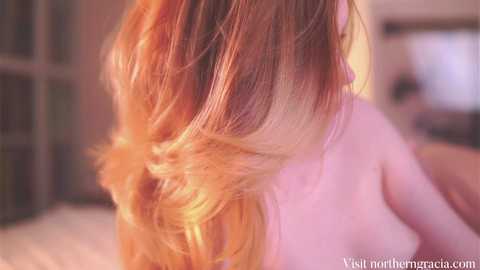 northern_gracia free recording from 