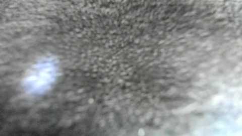 poopl_18 free recording from 2025-07-28 05:48:00