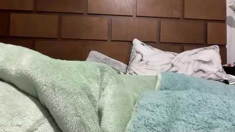 toki0st free recording from 2025-07-28 08:40:00