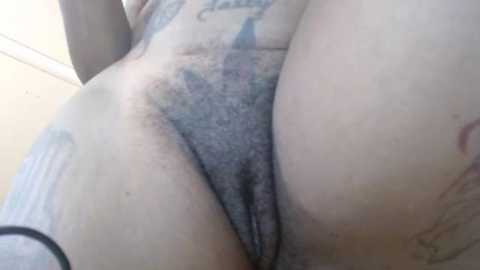 creamyexotica free recording from 