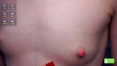 phyllisearney free recording from 2025-07-29 12:17:00