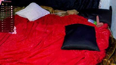 demmi_foxy free recording from 