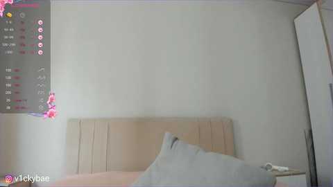 sweety_vikky free recording from 2025-07-30 05:19:00