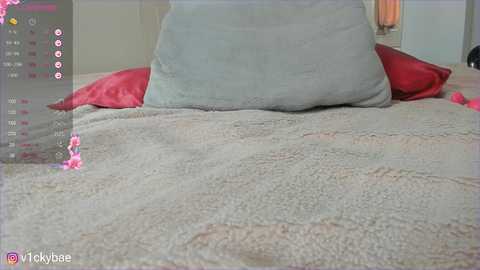 sweety_vikky free recording from 2025-07-31 05:37:00