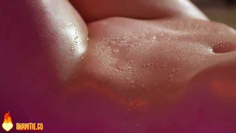 _taylor_swift free recording from 2025-08-01 08:49:00