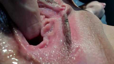 courtney_luv free recording from 