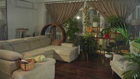 heybanan free recording from 2025-08-01 00:03:00