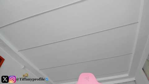 tiffanyhouston_ free recording from 2025-08-01 07:27:00