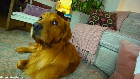 x_lily_x free recording from 2025-08-01 00:10:00