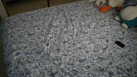 bestblondiiecb free recording from 2025-08-02 22:47:00