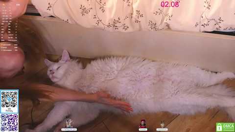 lissa_meooow free recording from 2025-08-02 08:14:00