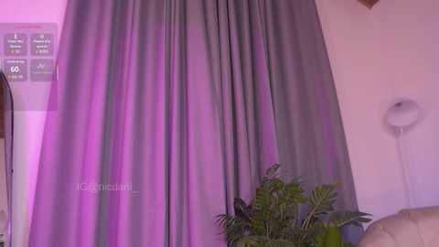 nicdani_1 free recording from 2025-08-02 04:34:00