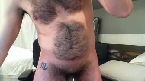 gaotter free recording from 