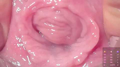 horny_moly free recording from 