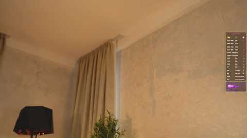 pafosstar free recording from 