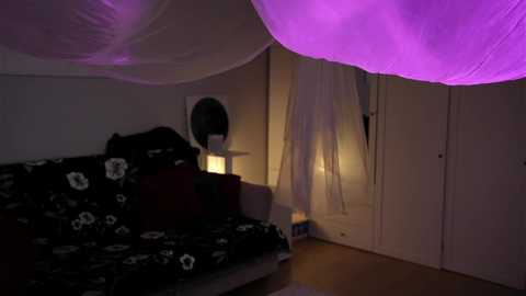 _blackbee_ free recording from 2025-08-04 13:40:00