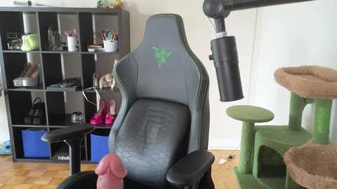 alexa_dream free recording from 2025-08-04 20:55:00