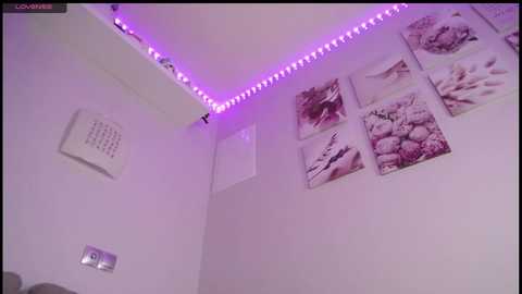 amazing_agness free recording from 2025-08-04 14:01:00