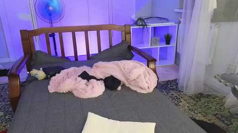 aminasaffron free recording from 