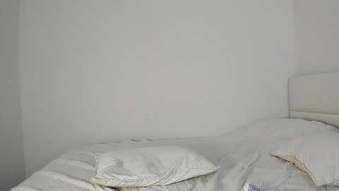 amy1_1 free recording from 2025-08-04 06:18:00