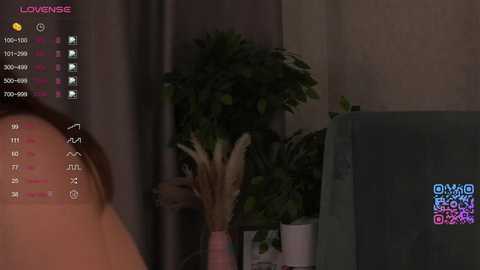 cinacandy free recording from 