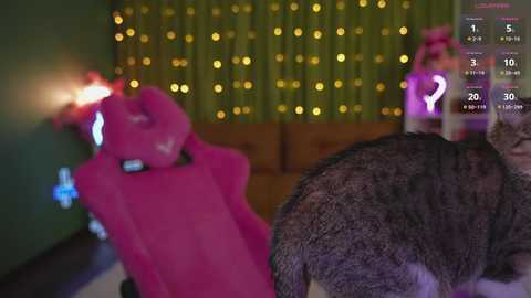 katy_ethereal free recording from 2025-08-04 07:50:00