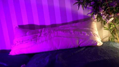 littlee33 free recording from 