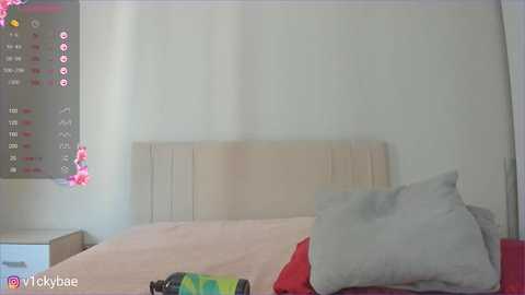 sweety_vikky free recording from 2025-08-04 03:58:00