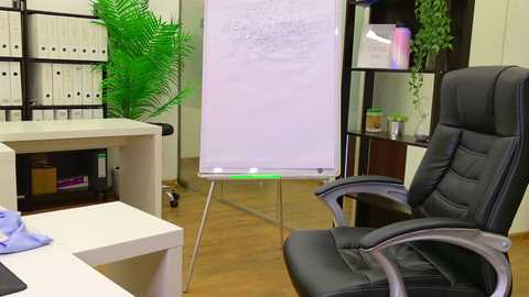 babesgowild free recording from 2025-08-06 08:29:00