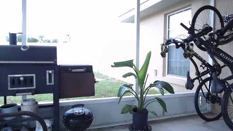 jadelove_ free recording from 2025-08-06 19:12:00