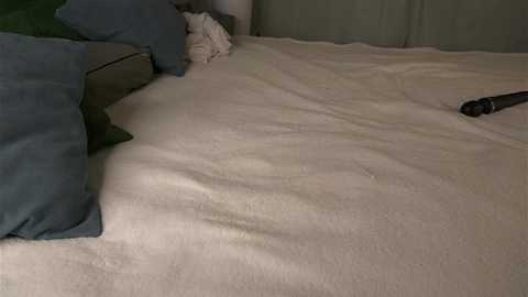 shickshackshock free recording from 2025-08-06 19:48:00