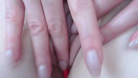 single_fox_4u free recording from 