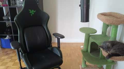 alexa_dream free recording from 2025-08-07 20:52:00