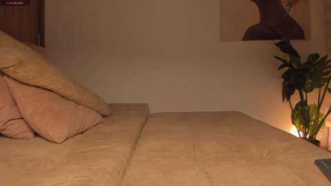 anaonasis free recording from 2025-08-07 03:56:00