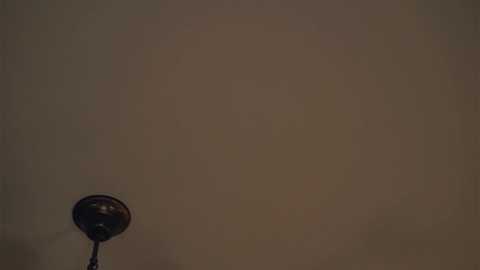 cassicompagna free recording from 2025-08-07 00:18:00